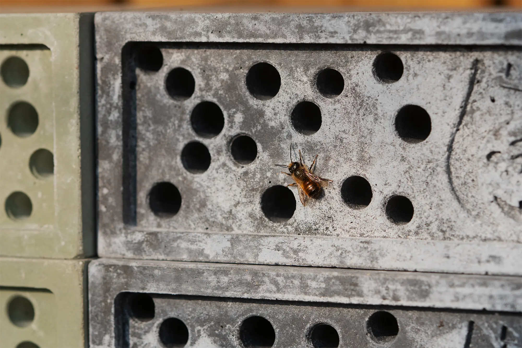 Nordic Animal | Wildbienenlodge | Osmia 02