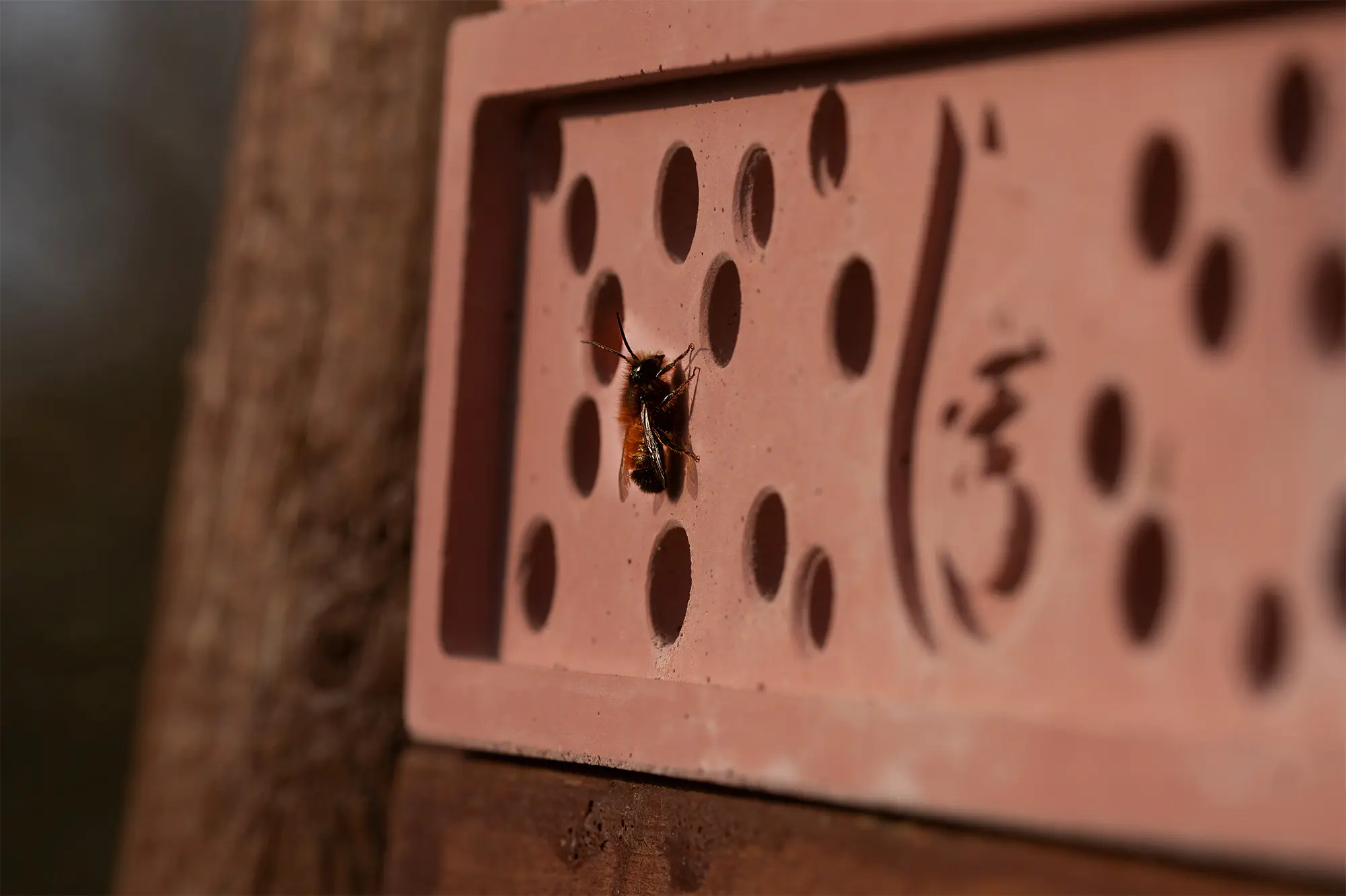 Nordic Animal | Wildbienenlodge | Osmia